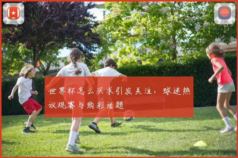 世界杯怎么买求引发关注，球迷热议观赛与购彩话题