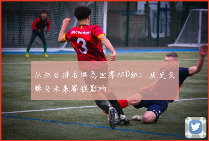 从积分排名洞悉世界杯D组：历史交锋与未来赛程影响