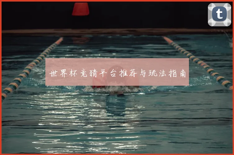 世界杯竞猜平台推荐与玩法指南