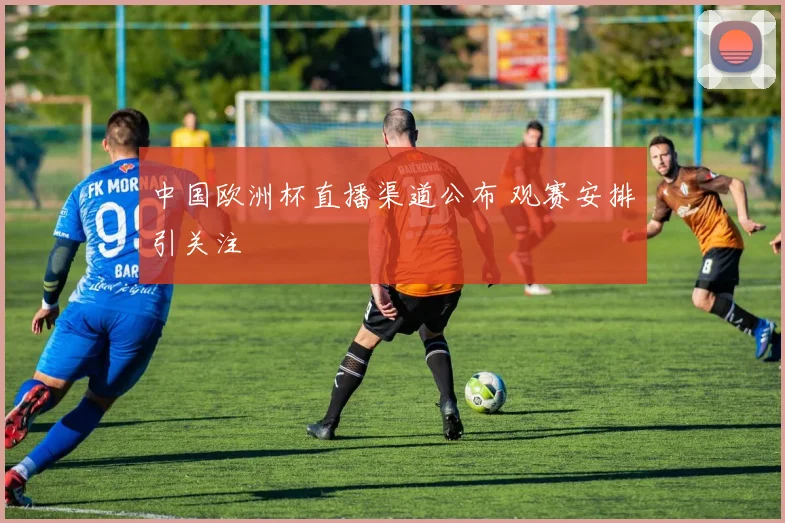 中国欧洲杯直播渠道公布 观赛安排引关注