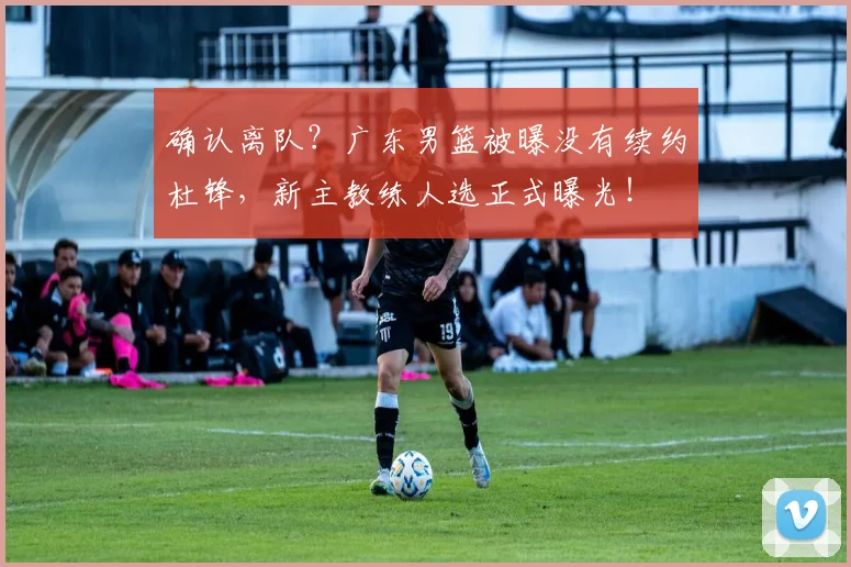 确认离队?广东男篮被曝没有续约杜锋,新主教练人选正式曝光!