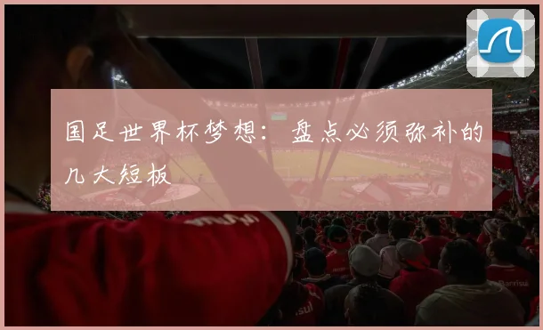 国足世界杯梦想：盘点必须弥补的几大短板