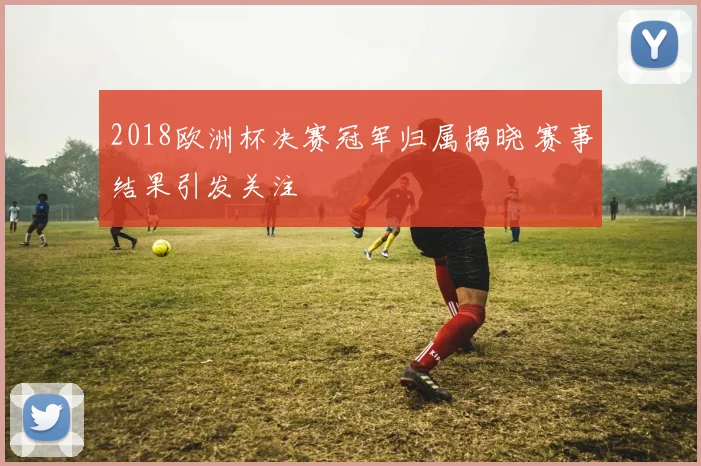 2018欧洲杯决赛冠军归属揭晓 赛事结果引发关注