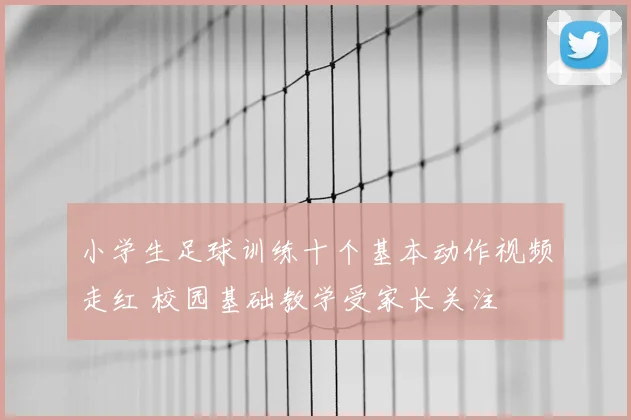 小学生足球训练十个基本动作视频走红 校园基础教学受家长关注